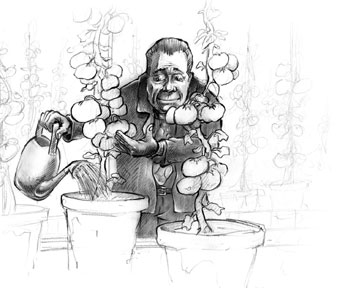 Gut gepflegte Pflanze trägt gute Früchte